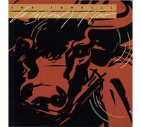 LA CATEDRAL Y EL TORO [LP VINYL]
