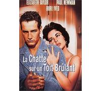 La Chatte sur un Toit Brulant [DVD]