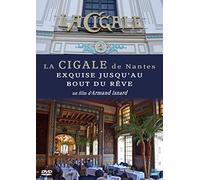 La Cigale de Nantes : Exquise Jusqu'au Bout du rêve