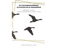 La Corresponsabilidad al servicio de la sinodalidad: Caminando juntos, siendo responsables unos de otros.