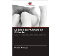 La crise de l'Amhara en Éthiopie: enjeux en matière de sécurité et de droits de l'homme