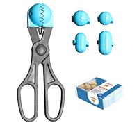LA CROQUETERA Turquoise Multipurpose Tool-4 Interchangeable molds for Masses + Pack Storage trays-100% Spanish : Patented and Made in Spain, 1 utensilio + 20 bandejas