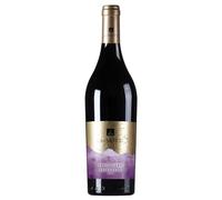 La di Motte PINOT NERO TREVENEZIE IGT - Full-Bodied, Elegant & Spicy Red Wine - Notes of Cherry and Black Pepper - 12,5% vol - 750 ml