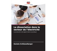 La dissociation dans le secteur de l'électricité: La production de rapports dans la pratique