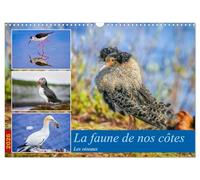 La faune de nos côtes les oiseaux (Calendrier mural 2026 DIN A3 vertical), CALVENDO calendrier mensuel: La faune aviaire qui peuple nos littoraux