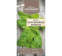La Ferme de Sainte Marthe Basil "Géant Monstrueux Mammouth" - 1 Pkg