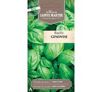 La Ferme de Sainte Marthe Basil "Genovese" - 1 Pkg