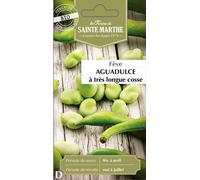 La Ferme de Sainte Marthe Bean "Aguadulce à Très Longue Cosse" - 1 Pkg
