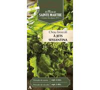 La Ferme de Sainte Marthe Broccoli Cabbage "à Jets Sessantina" - 1 Pkg