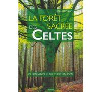 La forêt sacrée des Celtes: Du paganisme au christianisme