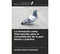 La formación como intervención para la consolidación de la paz: teoría y práctica