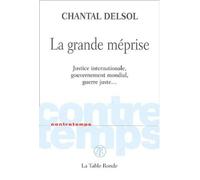 La grande méprise: Justice internationale, gouvernement mondial, guerre juste...