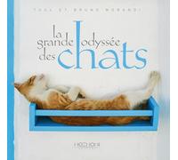La grande odyssée des chats