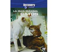 La Guía Máxima -. Gatos (Import Dvd) (2013) (Sin Actores); Karen Partridge
