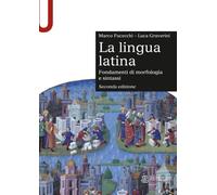 La lingua latina: Fondamenti di morfologia e sintassi. Con esercizi. Seconda edizione (Le Monnier Università / Sintesi)