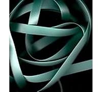 La Mercerie 22355-0010-0086 Fabric Satin Ribbon 0086 25 m x 10 mm Green