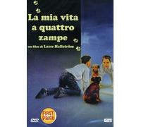 La Mia Vita A Quattro Zampe
