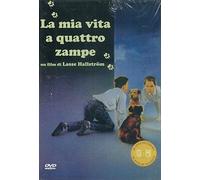 la mia vita a quattro zampe dvd Italian Import
