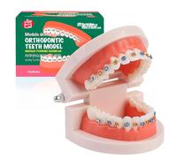 LA MIERE Dental Orthodontic Teeth Model with Colorful Braces, Professional Denture Mouth Model Demonstration Study Tool, Tooth Teaching Equipment with Bracket Supplies