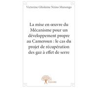 La mise en oeuvre du Mécanisme pour un développement propre au Cameroun: le cas du projet de récupération des gaz à effet de serre