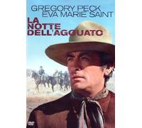 La notte dell'agguato