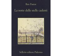 La notte delle stelle cadenti