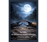 La nuit où les cornes se sont abaissées: Le choix des scarabées (Histoires de solitude et de silence)
