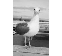 La Orquestacion de la Carne (El Amanecer del Sexto Sol ; Cronicas del Sol de Silicio)