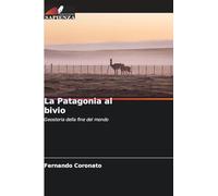 La Patagonia al bivio: Geostoria della fine del mondo