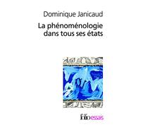 La Phenomenologie Dans Tous Ses Etats: A36317 (Folio Essais)