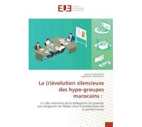 La (r)évolution silencieuse des hypo-groupes marocains :: Le rôle méconnu de la délégation du pouvoir aux dirigeants de filiales dans l’amélioration de la performance