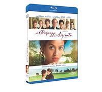 La Ragazza del Dipinto [Blu-ray] [2015] [Region A & B]