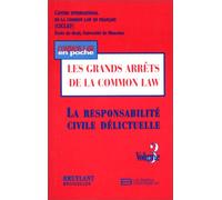 La Responsbilite Civile Delict: Tome 3 : La responsabilité délictuelle