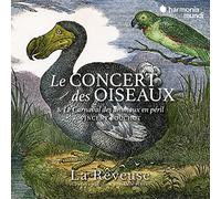 La Rêveuse: Le Concert Des Oiseaux...
