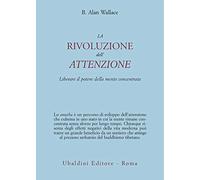 La rivoluzione dell'attenzione. Liberare il potere della mente concentrata