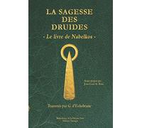La sagesse des druides: Le livre de Nabelkos: 1 (Bibliothèque de la flamme verte)