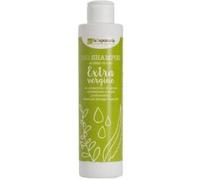 La Saponaria Extra Virgin Olive Oil Shampoo, Sensitive Skin, Easily Irritated Scalp, Fragrance Free, Natural, Vegan, Cruelty-Free, Bio Plastic, Organic, 200ml