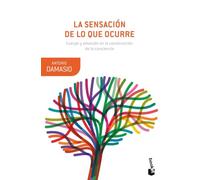 La sensación de lo que ocurre