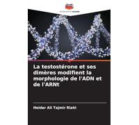 La testostérone et ses dimères modifient la morphologie de l'ADN et de l'ARNt