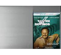 LA THEORIE DES DOMINOS