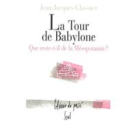 La Tour de Babylone. Que reste-t-il de la Mésopotamie?