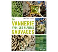 La vannerie avec des plantes sauvages