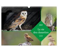La vie des chouettes, les dames de la nuit (Calendrier mural 2027 DIN A3 vertical), CALVENDO calendrier mensuel: Partez à la découverte des chouettes en images