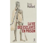 La vie des esclaves en prison: La Réunion 1767-1848