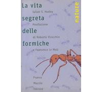 La vita segreta delle formiche