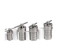 Lab Pressure Reactor 5-500ml Hydrothermal Autoclave Reactor with PTFE Chamber Synthesis(25ml)