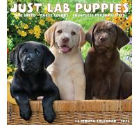 Lab Puppies 2025 Wall