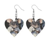 Lab Rat Women's Wooden Earring Drop Dangle Earrings Pendant Jewelry Love