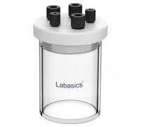 Labasics Electrolytic Cell, Single-Chamber Borosilicate Sealed Electrochemical Cell Kit Reactor Electrolyzer with 5-Hole PTFE Lid, 100 ml