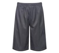 Label Cutters Mens Basketball Shorts Quick Dry Gym Casual Shorts S to 5XL Single & 2 Pack New (DZ Gry - 3XL)